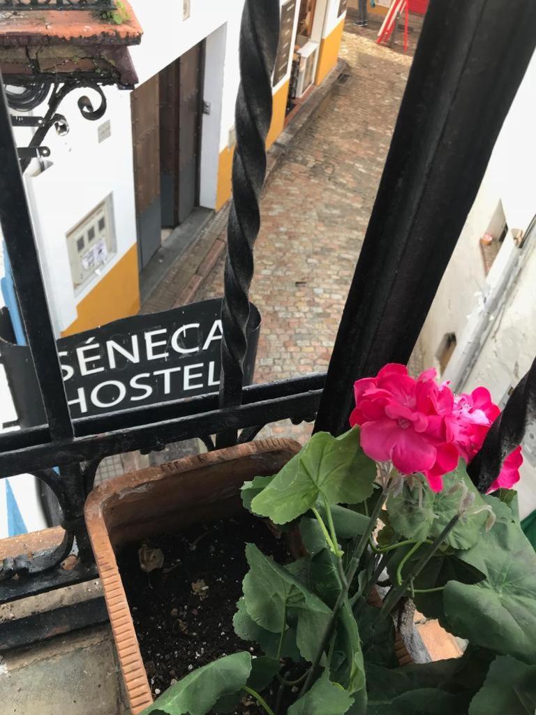 Seneca Hostel Cordoue Extérieur photo